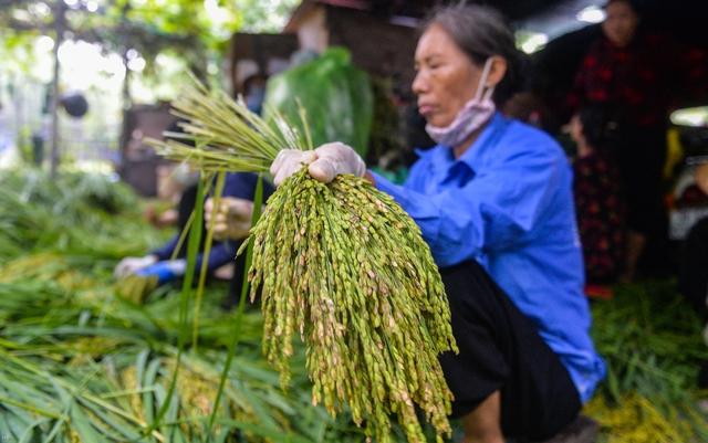 Hà Nội: Làng cốm Mễ Trì tất bật vào vụ lớn nhất trong năm - Ảnh 6.