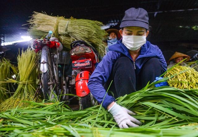 Hà Nội: Làng cốm Mễ Trì tất bật vào vụ lớn nhất trong năm - Ảnh 4.