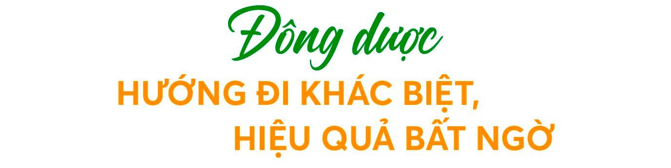 Hành trình xây dựng vùng dược liệu xanh và bước chuyển mình vươn lên vị thế hàng đầu ngành dược của Traphaco - Ảnh 1.