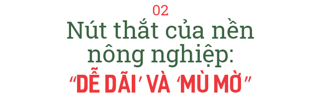 Doanh nhân Nguyễn Thị Thành Thực: Từ thương lái ‘khét tiếng’ mua cả một nông trường cam Trung Quốc đến startup nông nghiệp công nghệ ở tuổi U60 - Ảnh 5.