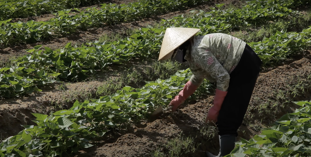 Du khách người nước ngoài bất ngờ vì chi phí du lịch tại Việt Nam vô cùng phải chăng - Ảnh 9.