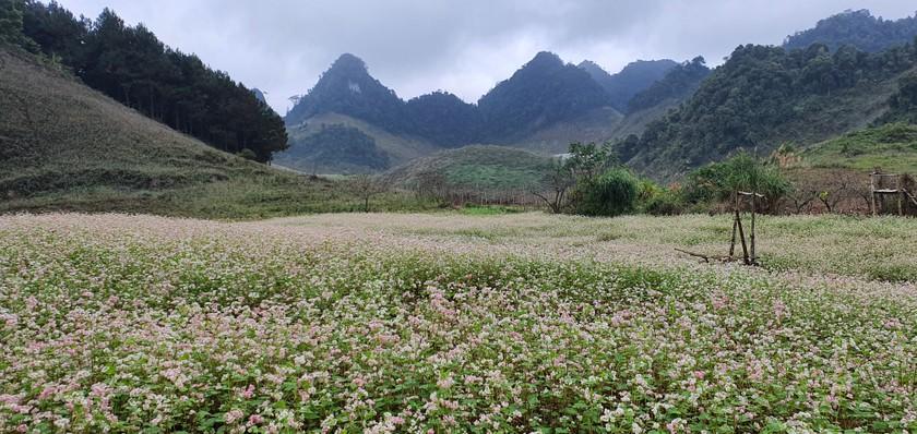 “Một Mộc Châu kiêu hãnh trên bản đồ du lịch Việt Nam” ảnh 3