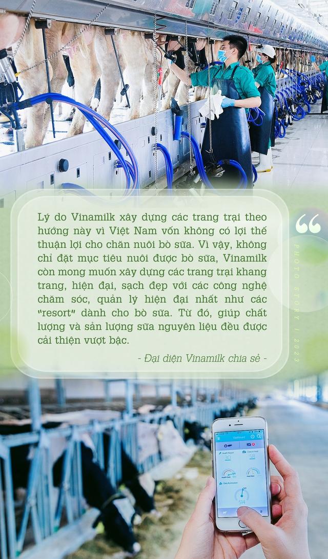 Bộ sưu tập các mô hình trang trại bò sữa ấn tượng của Vinamilk - Ảnh 2.