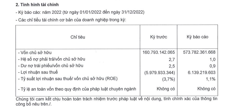 Công ty con của Sơn Kim Land bất ngờ báo lãi trong năm 2022, vốn chủ sở hữu tăng gấp 3,5 lần - Ảnh 2.