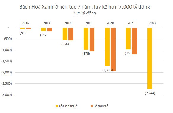 Từng thất bại với Vuivui.com, tham vọng đưa trang TMĐT Bách Hoá Xanh thành số 1 Việt Nam,  tân CEO "không lương" đối mặt điều gì? - Ảnh 3.