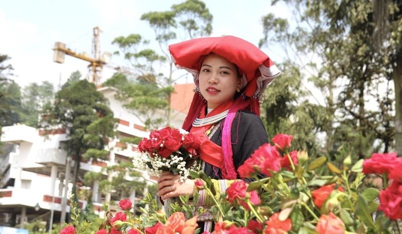 Khai mạc “Lễ hội Festival hoa hồng năm 2023” ảnh 1