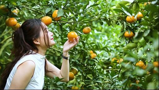 Cáp treo Núi Cấm xô đổ nhiều kỷ lục - Ảnh 5.