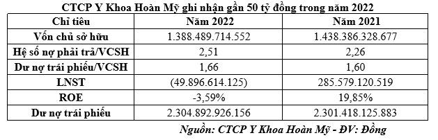 Chủ sở hữu bệnh viện Hoàn Mỹ đang làm ăn ra sao? - Ảnh 1.