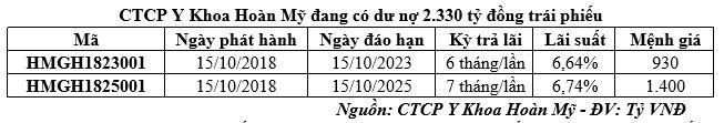 Chủ sở hữu bệnh viện Hoàn Mỹ đang làm ăn ra sao? - Ảnh 2.