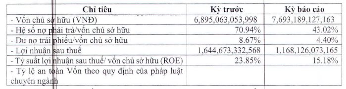 Tập đoàn Nam Cường báo lãi 1.168 tỷ đồng, giảm 29% so với năm 2021, mạnh tay trả 1.580 tỷ vay nợ đưa tỷ lệ nợ về con số "mơ ước" - Ảnh 2.