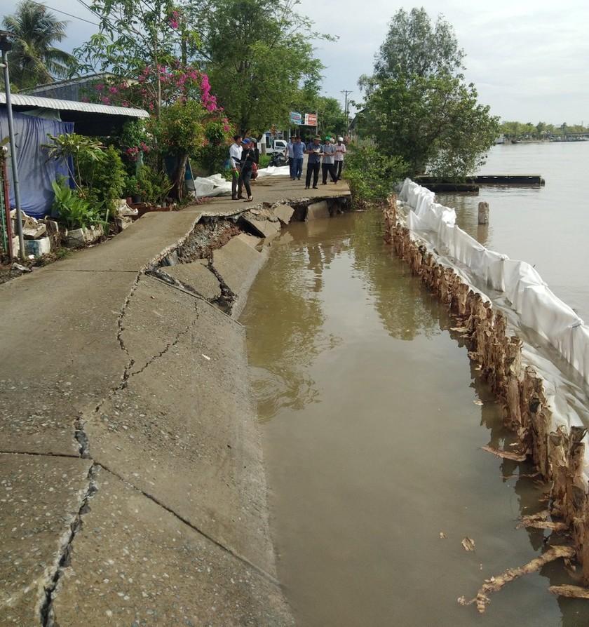 Sạt lở, sụt lún đất diễn biến phức tạp tại huyện Đầm Dơi (Cà Mau) ảnh 5