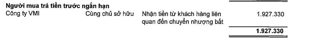 Taxi Xanh GSM và VMI đã đem về cho Vingroup bao nhiêu tiền trong nửa đầu năm? - Ảnh 3.