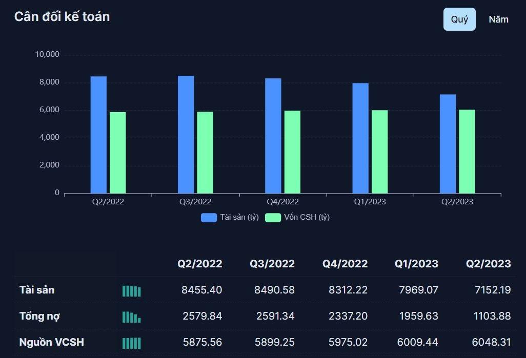 Thaiholdings có quý “lỗ gộp” đầu tiên từ khi cổ phiếu lên sàn - Ảnh 3.