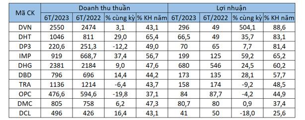 Doanh nghiệp dược phẩm thêm một quý 'ăn nên làm ra' - Ảnh 4.