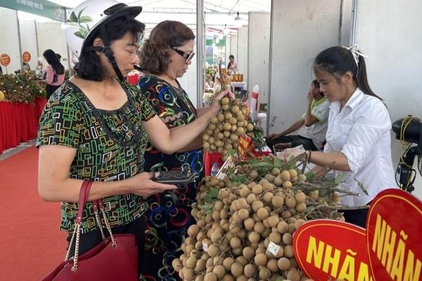 Khai mạc Tuần lễ Nhãn lồng Hưng Yên tại Quảng Ninh ảnh 1