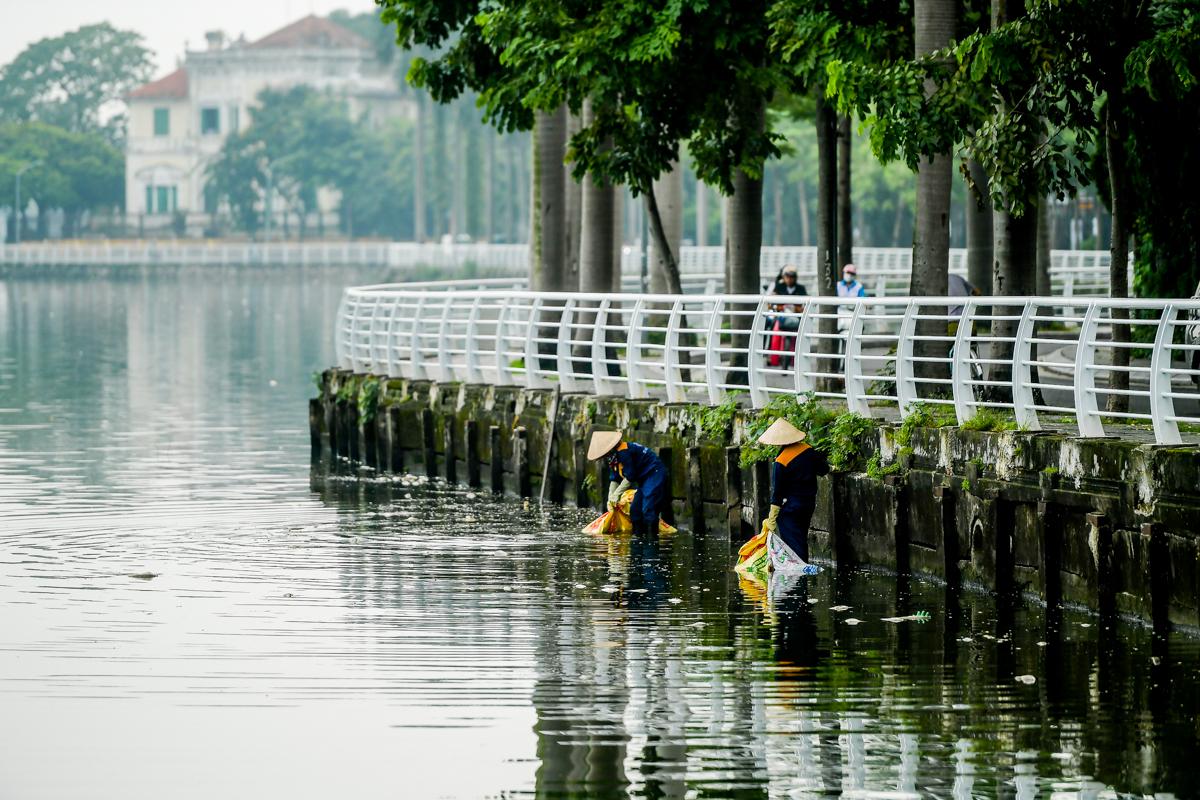 Dân sinh - Hà Nội: Cá chết hàng loạt, bốc mùi hôi thối nồng nặng trên Hồ Tây (Hình 7).