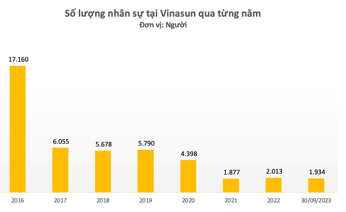 Vinasun: Lợi nhuận thấp nhất 6 quý, tiếp tục cắt giảm nhân sự - Ảnh 2.