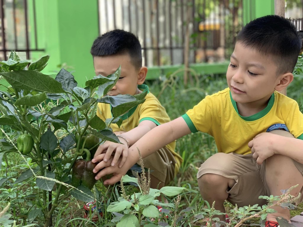 Trường học không rác thải nhựa và những sáng kiến bảo vệ môi trường