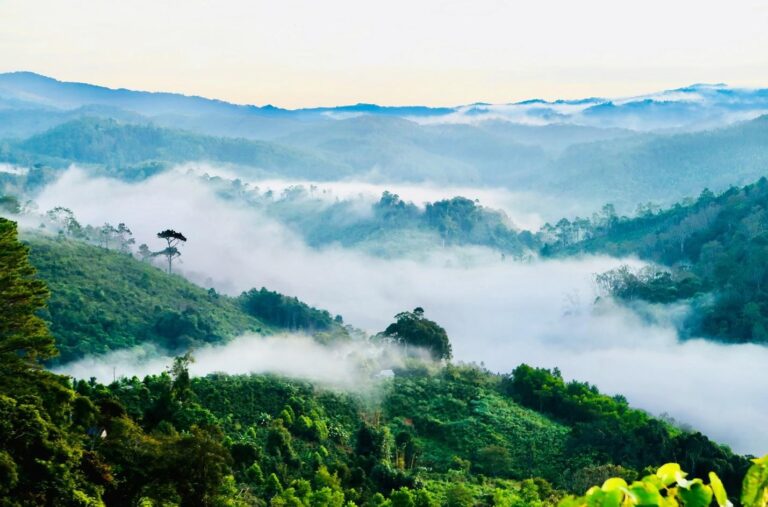 "Viên ngọc thô trong bản đồ của du lịch VN" sẽ thành trung tâm du lịch, nghỉ dưỡng tầm cỡ khu vực- Ảnh 2.