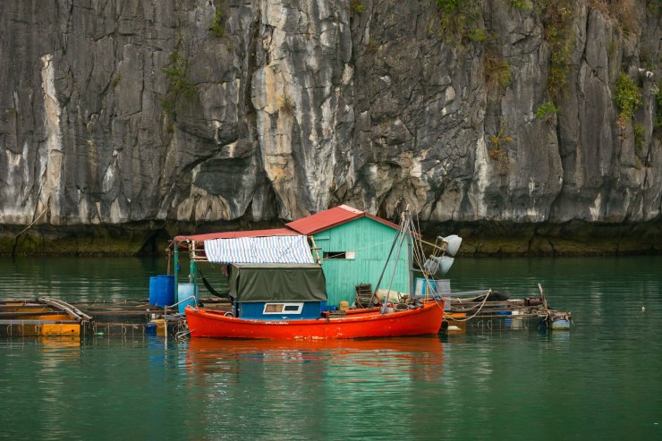 Báo quốc tế ca ngợi Vịnh Lan Hạ là một trong những điểm đến có cảnh biển đẹp nhất Trái đất - Ảnh 2.