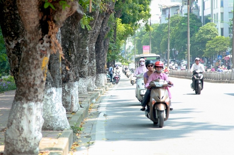 Ảnh minh họa