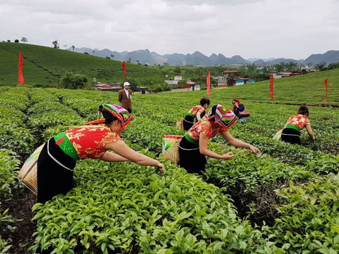 Bộ trưởng Bộ NNPTNT Lê Minh Hoan: Tư duy xanh, sản xuất xanh là xu thế không thể đảo ngược