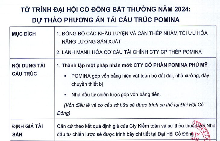 Thép Pomina muốn thành lập pháp nhân mới để tái cấu trúc công ty- Ảnh 1.