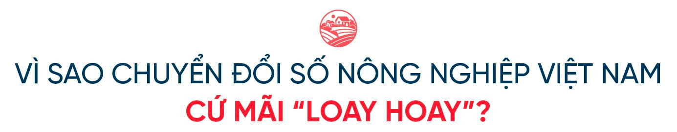 Doanh nhân Nguyễn Thị Thành Thực: Người Hàn Quốc sang Việt Nam làm chủ lĩnh vực công nghiệp, thì người Việt Nam cũng có thể làm chủ trong nông nghiệp ở Hàn Quốc- Ảnh 1.