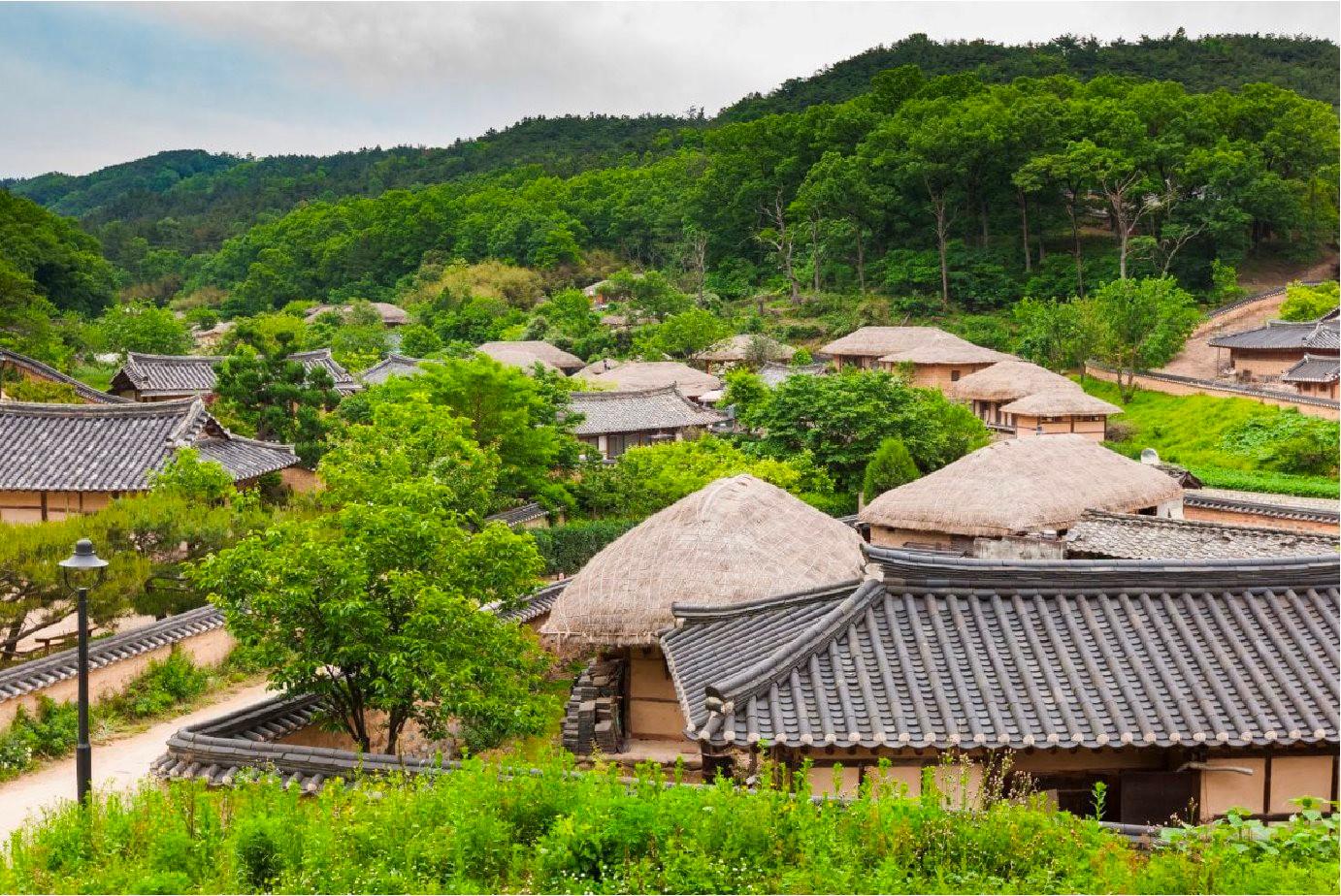 Doanh nhân Nguyễn Thị Thành Thực: Người Hàn Quốc sang Việt Nam làm chủ lĩnh vực công nghiệp, thì người Việt Nam cũng có thể làm chủ trong nông nghiệp ở Hàn Quốc- Ảnh 10.