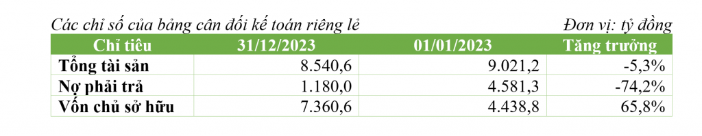 Các chỉ số của bảng cân đối kế toán riêng lẻ