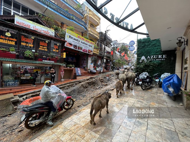 Khách du lịch đến Sa Pa phải qua tuyến đường Fansipan ngổn ngang đất, đá