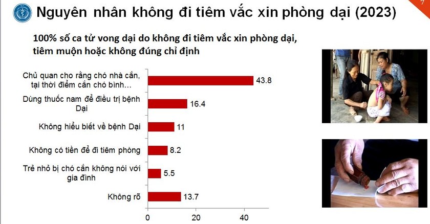 43,8% người không đi tiêm phòng dại là do chủ quan cho rằng chó nhà cắn, tại thời điểm cắn, chó có sức khỏe bình thường. Ảnh: Cục Y tế dự phòng