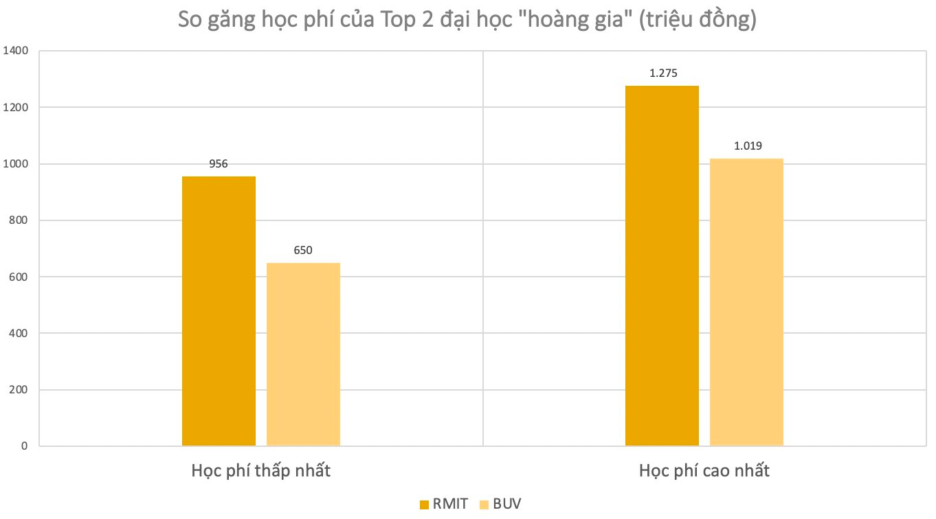 Khả năng sinh lời không thua kém làm bất động sản và tài chính, kinh doanh Trường Đại học đang mang về hàng nghìn tỷ mỗi năm cho RMIT, Văn Lang, FPT…- Ảnh 2.