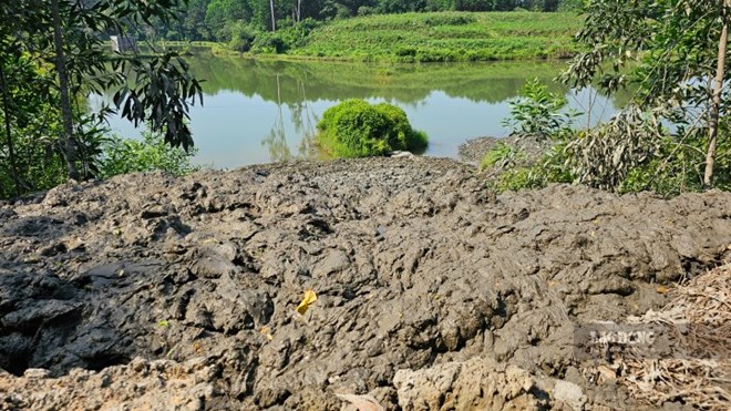 Yêu cầu TP. Huế rà soát lại việc đổ bùn thải xuống ao hồ sau phản ánh của Báo Lao Động