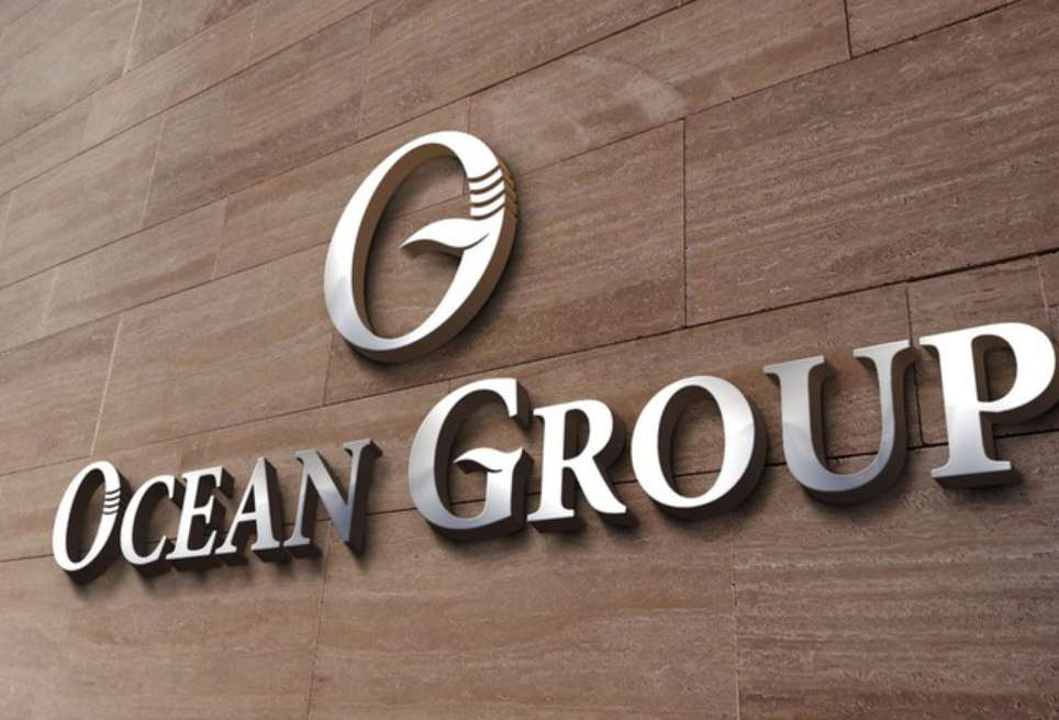 Hùng Lĩnh trở thành cổ đông lớn của Ocean Group- Ảnh 1.