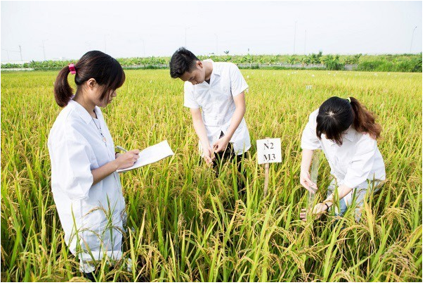 Khoa học cây trồng – Ngành học không lo thất nghiệp- Ảnh 1.