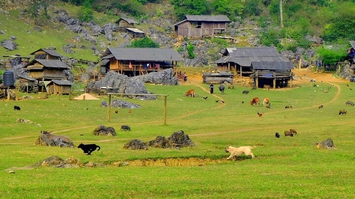 Hang Táu – bản làng nguyên sơ ở Mộc Châu khiến du khách mê mẩn- Ảnh 1.