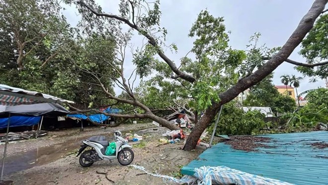 Công nhân an toàn trở lại làm việc sau bão số 3