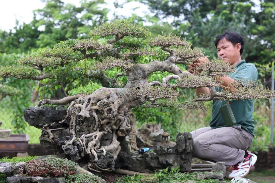 Ngành nông nghiệp Thủ đô “hồi sinh” sau bão, lũ