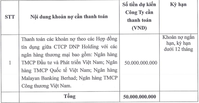 DNP Holding muốn đem 20 triệu cổ phần bảo đảm phát hành 200 tỷ đồng trái phiếu- Ảnh 2.