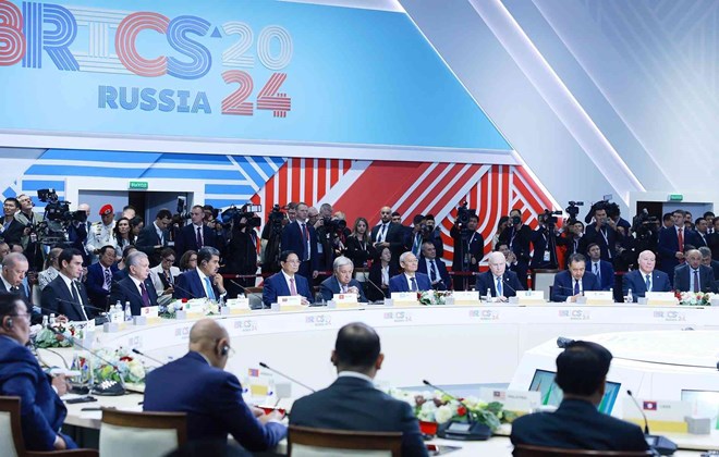 Việt Nam sẵn sàng cùng BRICS thúc đẩy vai trò của các nước đang phát triển