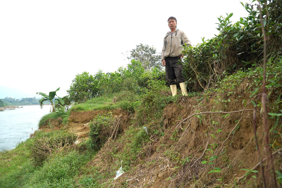 Người dân lo lắng khi diện tích sản xuất bị thu hẹp dần. ha-tinh-dan-vung-bien-thap-thom-vi-sat-lo-2.jpg