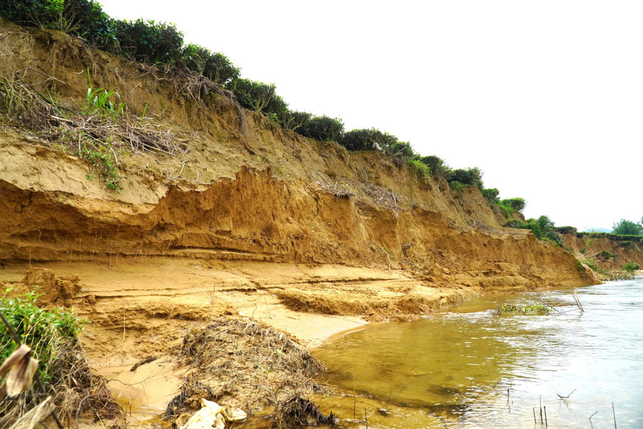 Cơ quan chức năng chưa có phương án để ngăn chặn sạt lở bờ sông Ngàn Phố đoạn qua thôn Tiền Phong. Ảnh: T.H ha-tinh-dan-vung-bien-thap-thom-vi-sat-lo-3.jpg