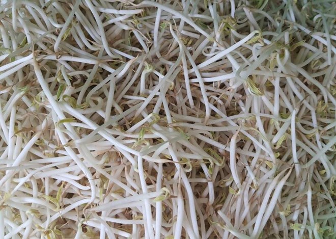 3 lí do giá đỗ giúp giảm mỡ bụng, mỡ nội tạng