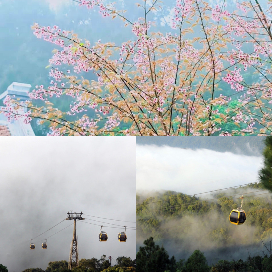 ngoi-chua-giua-lung-chung-may-1.jpg