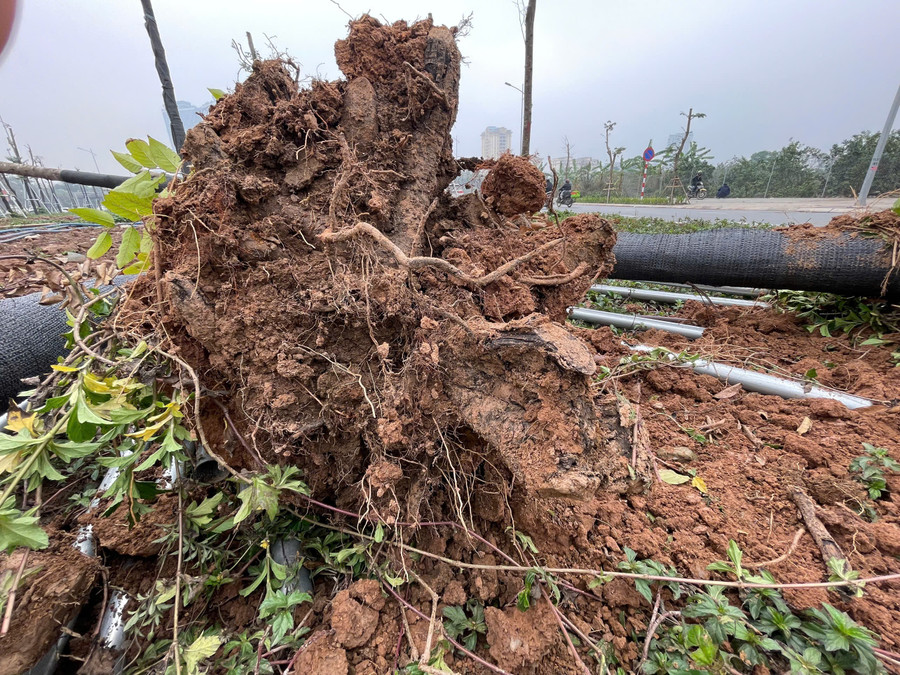 Chủ đầu tư cần đánh giá lại năng lực đơn vị trúng thầu dự án. z6339823444340-8049f90c8491d59133a4629a75b668ea.jpg