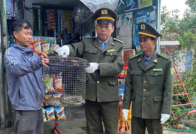 Người dân tự nguyện giao nộp cá thể trăn gấm quý hiếm