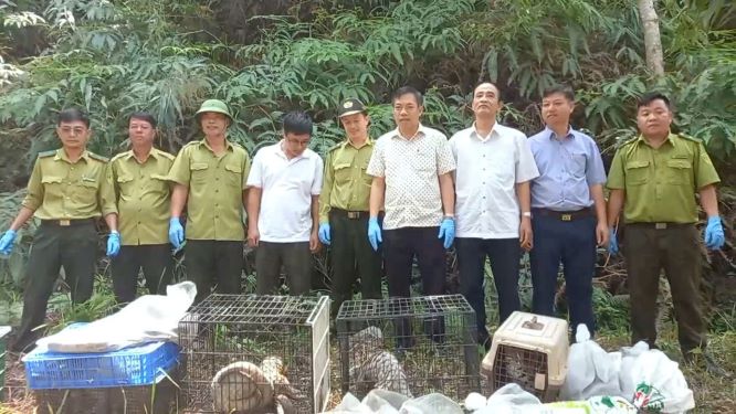 Hình ảnh các cá thể động vật hoang dã được thả về môi trường tự nhiên. Ảnh: Hoàng Khải