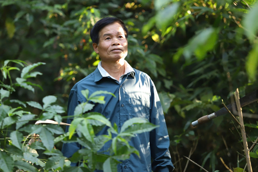 Ông Quang Văn Đồng và người dân bản Hốc luôn coi rừng là báu vật. nghe-an-hieu-qua-tu-huong-uoc-bao-ve-rung-3.jpg