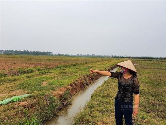 Nếu người sử dụng đất không dùng đất nông nghiệp liên tục trong khoảng thời gian quy định sẽ bị Nhà nước thu hồi. Ảnh: Phan Anh